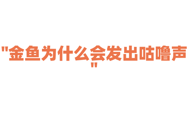 "金鱼为什么会发出咕噜声"